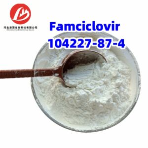 Famciclovir CAS 104227-87-4
